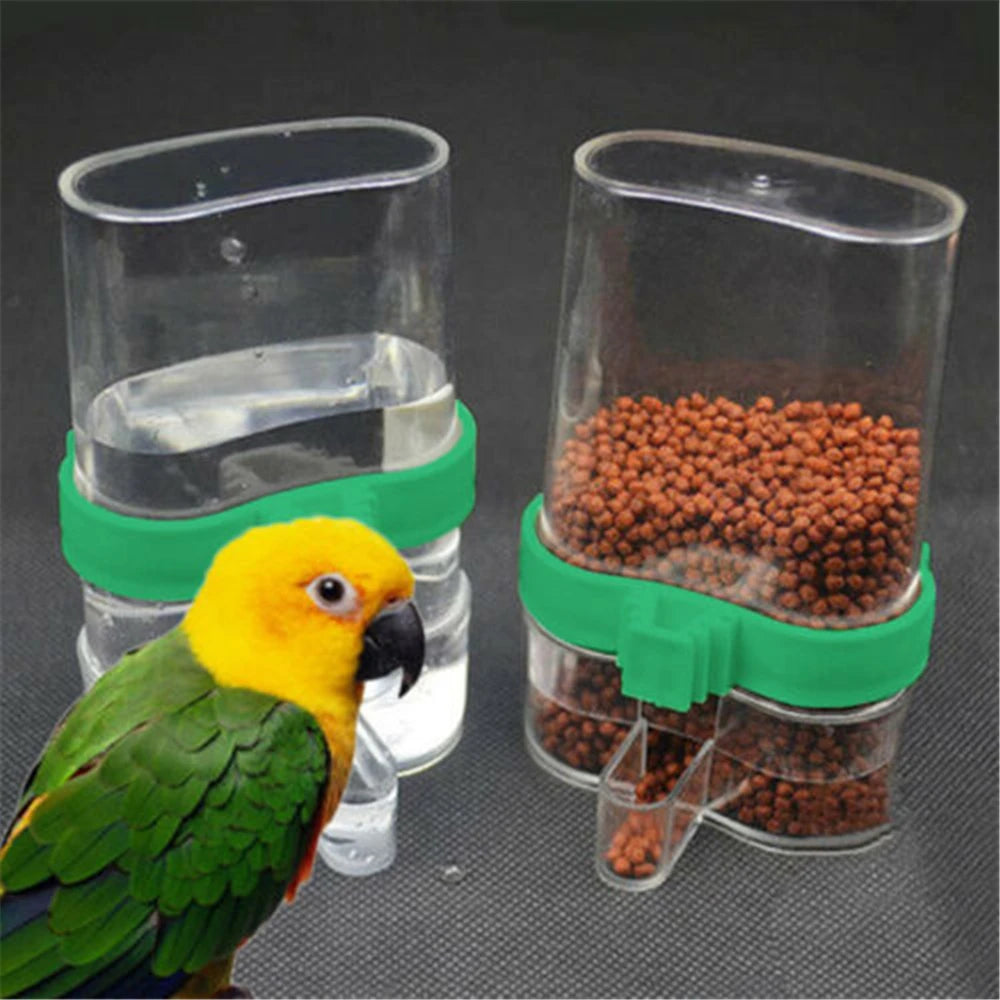 Parrot Bird Feeder And Automatic Water