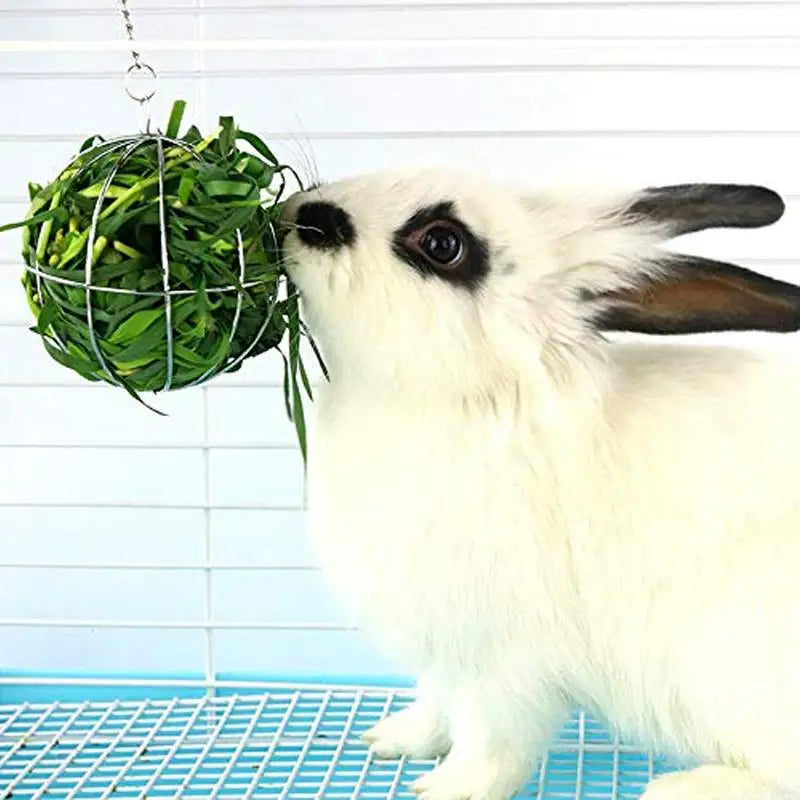 1pc Hanging Hay Ball Feeder