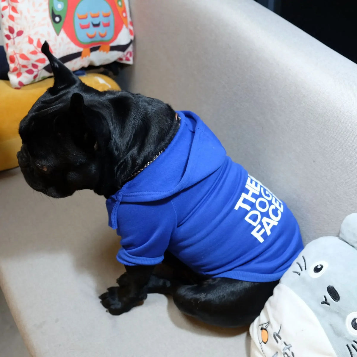 large Dog Hoodies For Winter or Fall