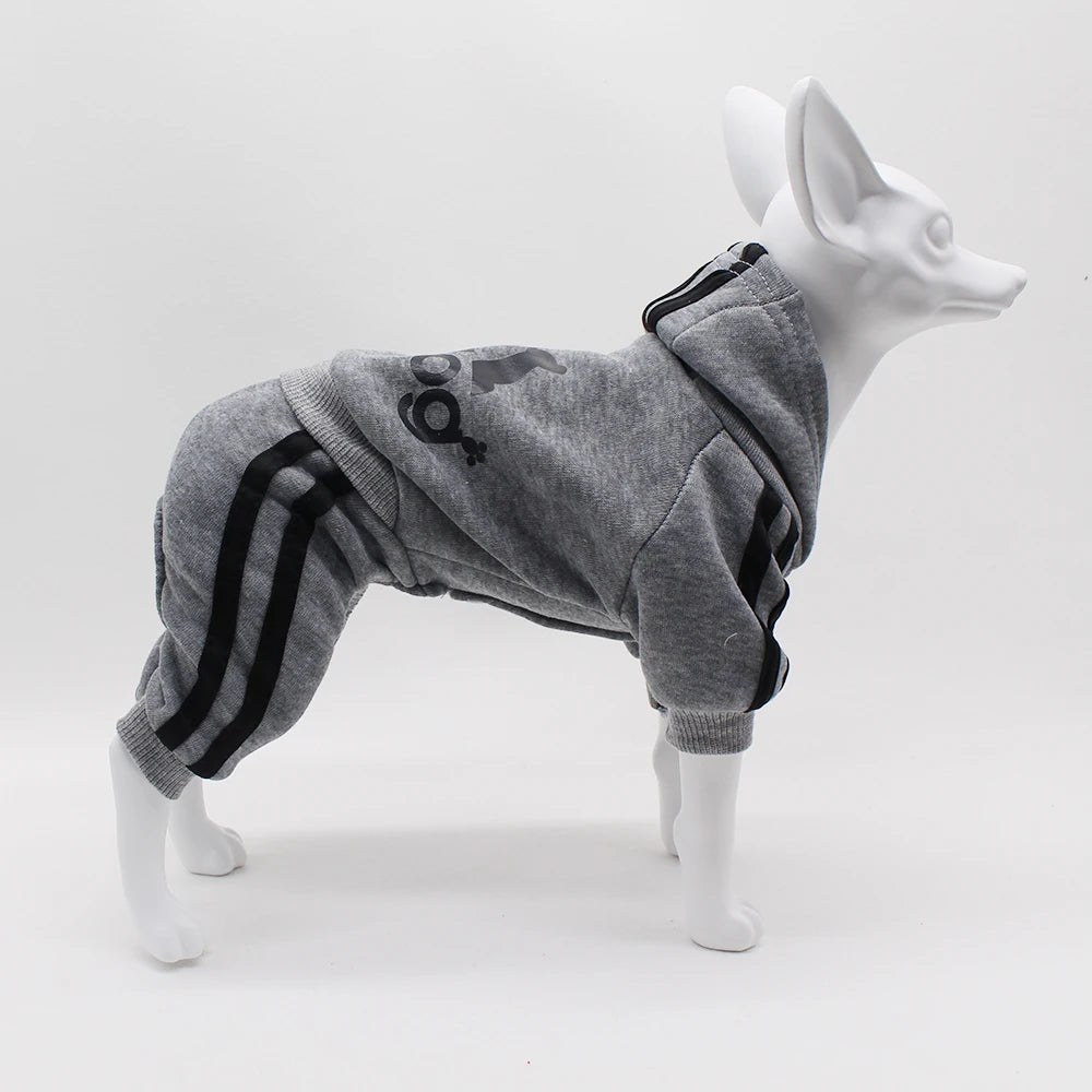 Small Dog Jumpsuit Sports Suit